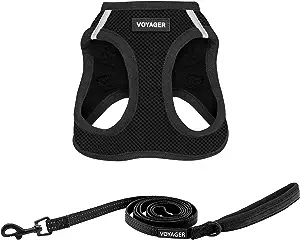 Voyager Step-in Air Dog Harness - All Weather Mesh Step in Vest Harness for Small and Medium Dogs - Black S