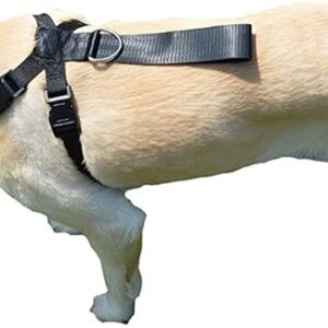 Downtown Pet Supply No Pull Dog Harness for Small Dogs Step in Dog Vest
