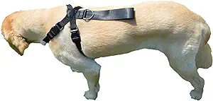Downtown Pet Supply No Pull Dog Harness for Small Dogs Step in Dog Vest
