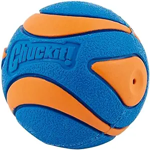 Canine Hardware Chuckit Ultra Squeaker High Bounce Dog Toy Ball Medium