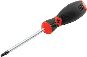 Torx Bit Screwdriver T25