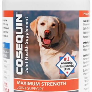 Nutramax Cosequin DS Maximum Strength Plus Supplement for Dogs 132 Chewable Tablets