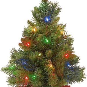 National Tree Company Pre-lit Artificial Mini Christmas Tree | Includes Multi-Color LED Lights and Cloth Bag Base | Majestic Fir - 2 ft
