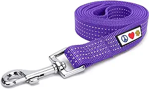 Reflective Pet / Dog Leash by Pawtitas