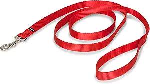 PetSafe Nylon Dog Leash Durable Easy to Use Bolt Snap 6 ft x 3/4 in Red