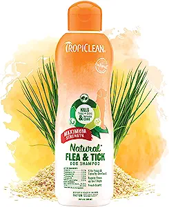 TropiClean Natural Flea & Tick Maximum Strength Shampoo for Dogs 20oz - Pet-Safe Treatment Kills Fleas Ticks Larvae Eggs by Contact