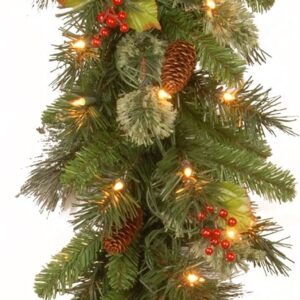 National Tree Company Pre-Lit Artificial Christmas Garland, Green, Wintry Pine, White Lights, Decorated with Pine Cones, Berry Clusters, Plug In, Christmas Collection, 9 Feet