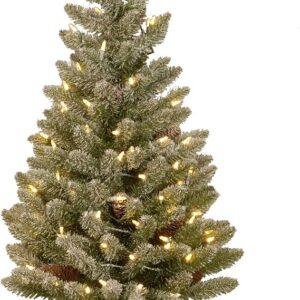 National Tree Company Pre-lit Artificial Mini Christmas Tree | Includes Small White LED Lights and Cloth Bag Base | Snowy Concolor Fir Burlap - 3 ft, Brown/Green