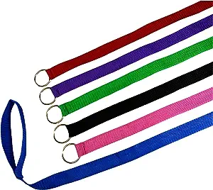 Downtown Pet Supply Slip Lead Dog Leash Universal Slip Leash O Ring 6 Pk