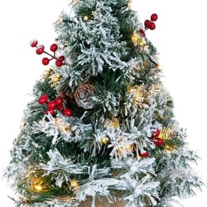 Joiedomi 24" Snow Flocked Prelit Tabletop Christmas Tree for Best Christmas Home Decorations (Battery Operated)