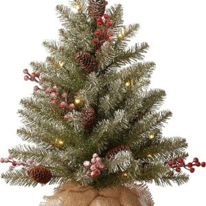 National Tree Company Pre-Lit Artificial Mini Christmas Tree, Green, Dunhill Fir, White Lights, Decorated with Pine Cones, Berry Clusters, Frosted Branches, Includes Cloth Bag Base, 2 Feet