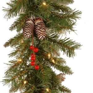 National Tree Company Pre-Lit Artificial Christmas Garland, Green, Frosted Berry, White Lights, Decorated with Pine Cones, Berry Clusters, Plug In, Christmas Collection, 9 Feet